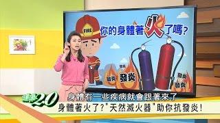 抗發炎防老計畫！讓你年輕10歲的「補色養生法」健康2.0(完整版)