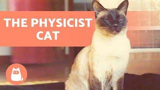 The CAT That WROTE a PHYSICS PAPER  (F. D. C. Willard aka Chester)