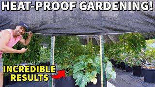 Protect Your Garden From HEAT: Install Shade Cloth NOW!