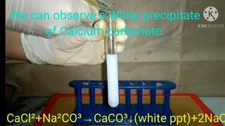 #Experiment  Experiment 11:-Precipitation reaction of Calcium chloride and Sodium Carbonate.