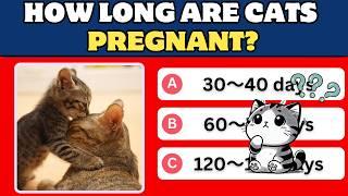 CAT TRIVIA QUIZ - 10 cats General knowledge Trivia Questions and Answers