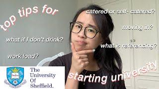 first year at University of Sheffield: tips I've learnt to help freshers