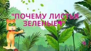 "Почему листья зеленые? Узнай с Томчиком!"