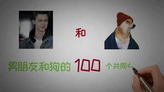 情侣必看丨男朋友和狗的100个共同点！（女生必看版）丨两性