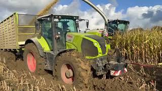 Maisernte in Schleswig-Holstein - Claas Jaguar 990 | Teil 1