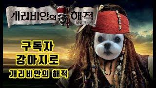 구독자 강아지로 개카펠라 ( 캐리비안의 해적 OST 강아지 리믹스 )