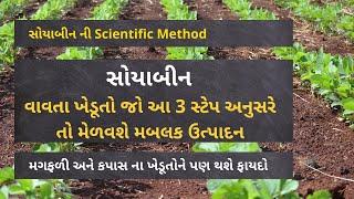 સોયાબીન ની ખેતી માહિતી. Scientific Method to grow Soyabean Crop. વૈજ્ઞાનિક ખેતી પધ્ધતિ #farmersinfo