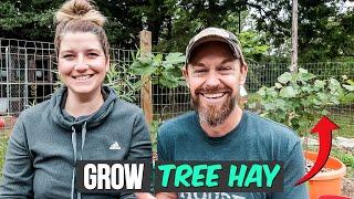 How to Grow 50% of Your Livestock Feed {BUY THESE TREES NOW!}