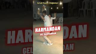 SÜPER OYUN HAVASI #düğün #oyunhavaları #dance #music