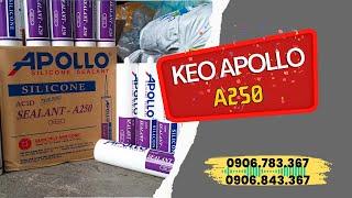 KEO SILICONE GIÁ SỈ - APOLLO A250 LÊ THANH