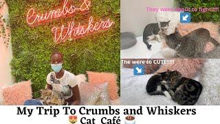 My Trip To Crumbs and Whickers Cat Café!!!!!!