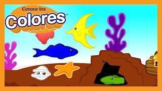 Conoce los Colores "Pecera" Coloreando | Meet the Colors "Fish Tank" Coloring | Preschool Prep