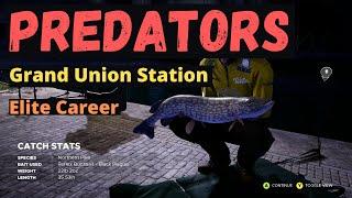 Predators in Grand Union at Night - My Career Elite Invitational - Fishing Sim World 2020