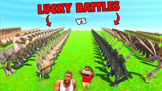 SHINCHAN vs CHOP but MYSTERY SPIN CATEGORIES in Animal Revolt Battle Simulator Arbs Hindi