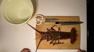 How to Clean and Devein a California Spiny Lobster