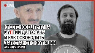 Крестоносец Путина, муПтий Дагестана и как освободить Дагестан от оккупации | ЧАРИНСКИЙ