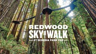 Redwood Sky Walk at Sequoia Park Zoo in Eureka California