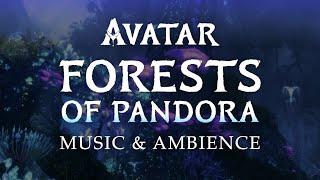 Avatar | Forests of Pandora Music & Ambience in 4K, with ASMR Weekly