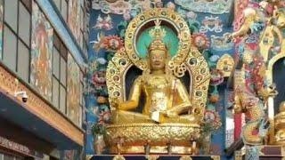 GOLDEN TEMPLE INTERIOR LIVE STREAM