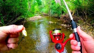 This River was Full of Trout