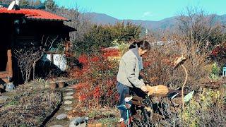 Daily life in the mountains of Korea, eating well and living well~!!