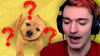 Speedrunning Nintendogs was a mistake