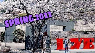 SPRING IN KOREA 2022 #SPRINGKOREA