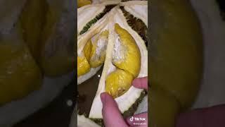 Review Durian King Rp  10 jt bareng @aliyyah kohl ! Kita goreng Lumpia Durian pakai panci dan sutil