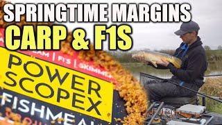 Spring Margin Fishing | Carp & F1s