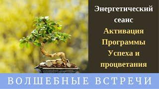 Энергетический сеанс - Активация Программы Успеха и процветания. Надежда Ражаловская.