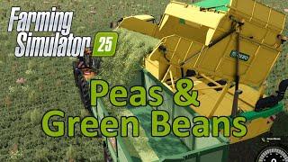 Farming Simulator 25 Tutorial | Peas & Green Beans