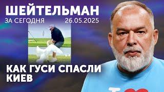 Путин сходит с ума по Трампу. Песнь о Стиве Витькоффе. Сбитиё определяет бытиё