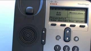 Zylinc Absence Cisco 7911