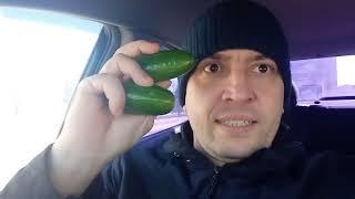 Прогулка по набережной города #зеленогорск красноярский край