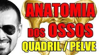 Acidentes ósseos do Quadril (Pelve ou Osso Pélvico) - Sistema Ósseo/Esquelético - VideoAula 056