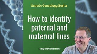 DNA Matches: How to Determine Paternal or Maternal Lines | Genetic Genealogy