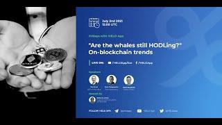 Fridays with YIELD App, "Are the whales still HODLing?"