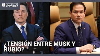 Elon Musk y Marco Rubio tienen una tensa discusión, según reporte: Trump niega que haya conflicto