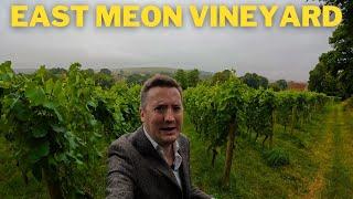 East Meon: A tiny (1 acre) English sparkling wine vineyard in the South Downs