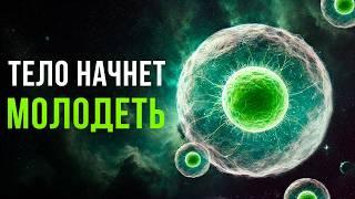 Отмотай ВРЕМЯ Назад! Омоложение и ОЗДОРОВЛЕНИЕ Организма - Действует Сразу! Исцеляющая Медитация