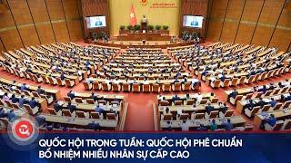 Quốc hội phê chuẩn bổ nhiệm nhiều nhân sự cấp cao | Truyền hình Quốc hội Việt Nam