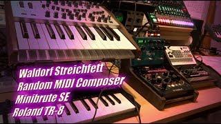 Waldorf Streichfett & BigSky & Random MIDI Composer & Minibrute SE & TR-8