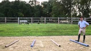 A Simple Three Part Gymnastics Exercise: For Your Horse...