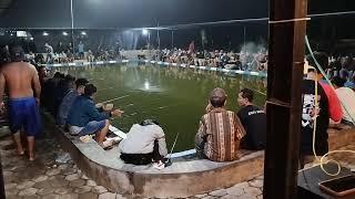 Lomba Mancing Ikan Lele Kp. Mburi Pom Bolo Tulungagung Tiket 100rb jok 150kg Total Hadiah 6,5 jt