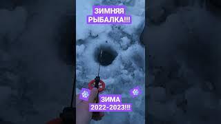 РЫБАЛКА НА ЛЬДУ! #2022 #2023 #рыбалка #shortvideo #yt #природа #рекомендации #зима #зимняярыбалка#tv