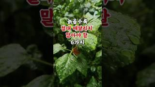 늙을수록 절대 매달리지 말아야 할 6가지