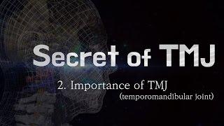 Secret of TMJ 2, Importance of TMJ (temporomandibular joint)