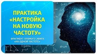 Практика управления эмоциями "Настройка на новую частоту". Фрагмент прямого эфира "На одной частоте"