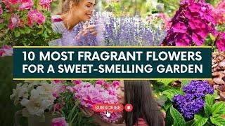 10 Most Fragrant Flowers for a Sweet Smelling Garden  // Catchy Garden