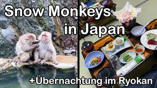 Mit dem Shinkansen zu den Snow Monkeys (+ Übernachten im traditionellen Ryokan) - Weltreise Vlog 090